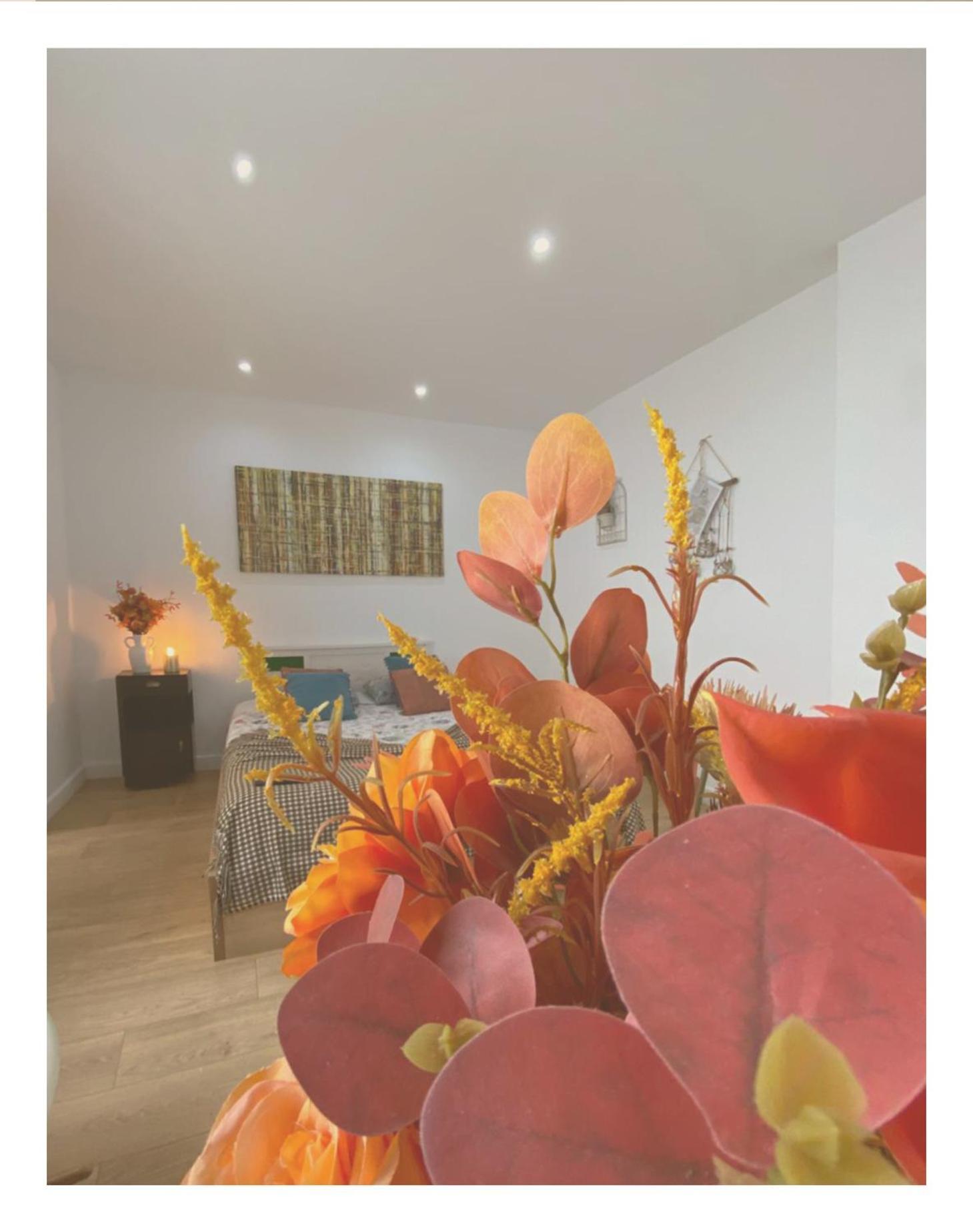 Casa Physalis * Ponta Delgada (Sao Miguel)