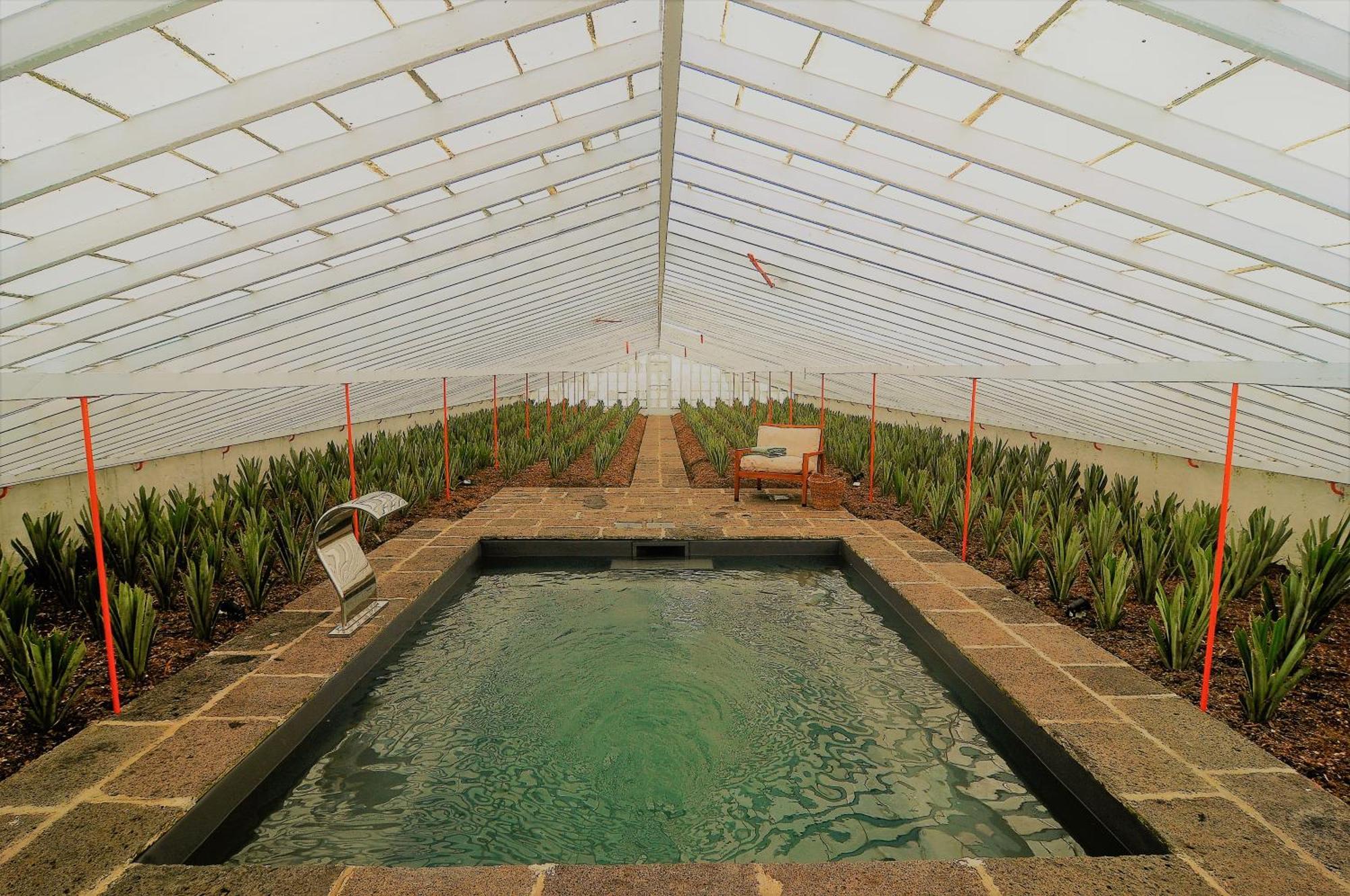 Nature Retreat By Herdade Do Ananas Bed & Breakfast Ponta Delgada (Sao Miguel)