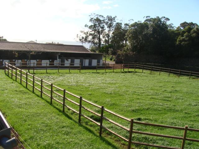 Quinta Da Manguinha Ponta Delgada (Sao Miguel)