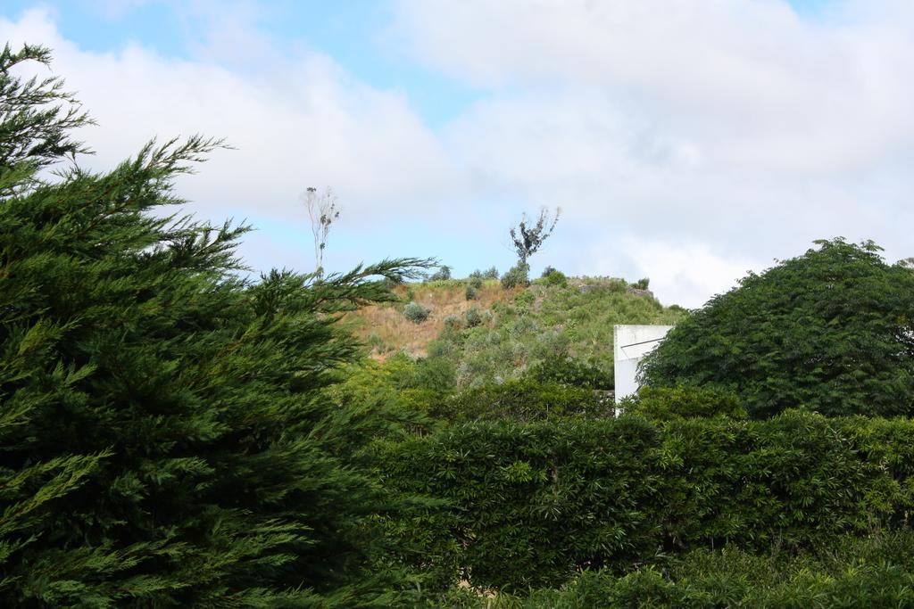 Mar E Serra * Ponta Delgada (Sao Miguel)