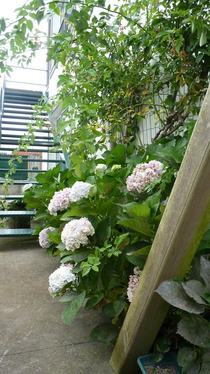 Azores Holidays House - Bed and breakfast *
