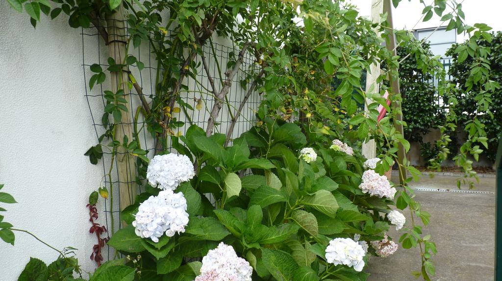 Azores Holidays House - * Ponta Delgada