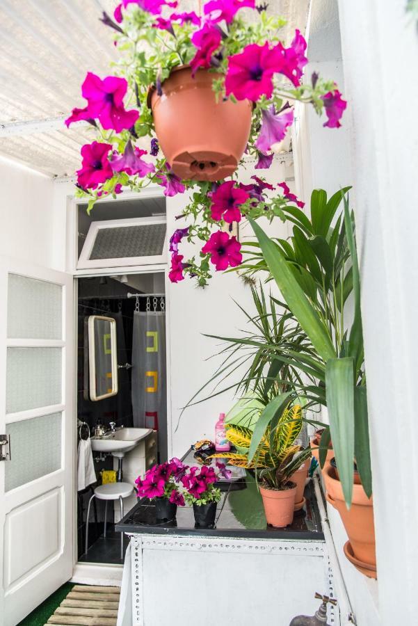 Cosy Flat In Center Ponta Delgada (Sao Miguel)