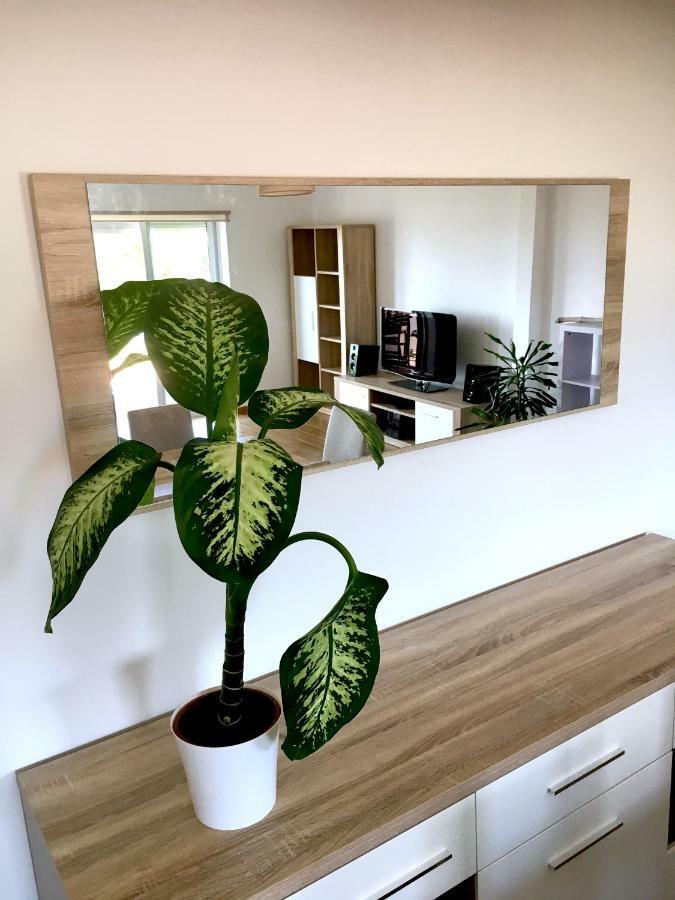 Casa Do O Apartment *